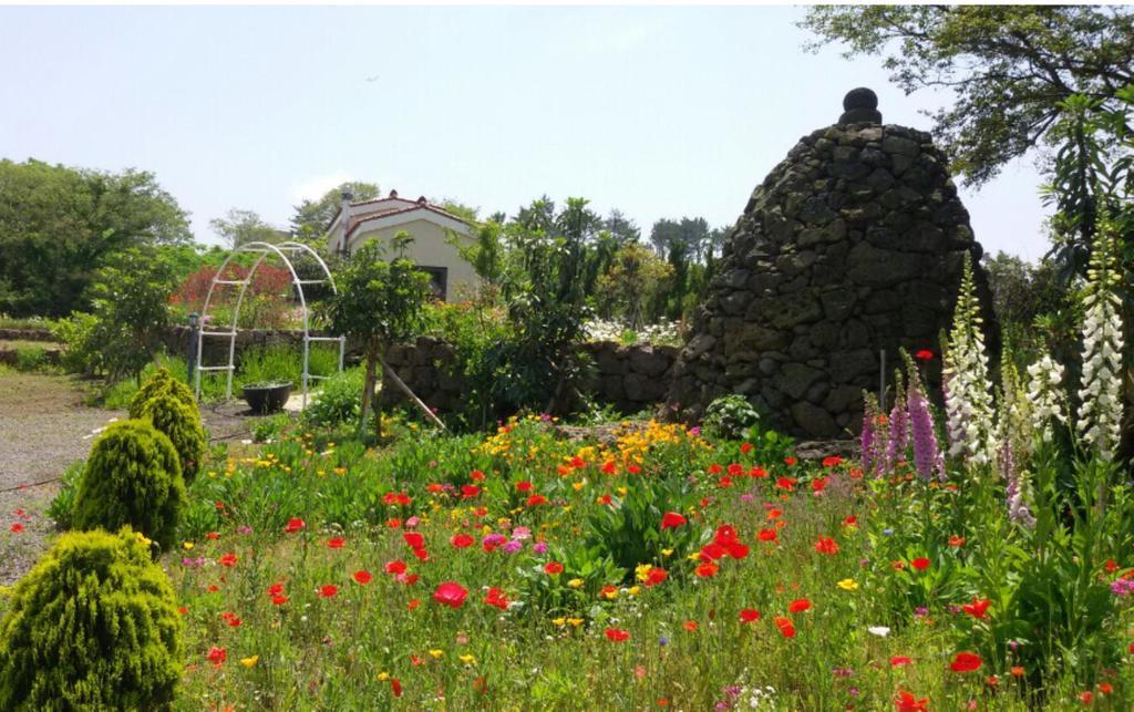Baghdad House Villa Jeju Exterior photo